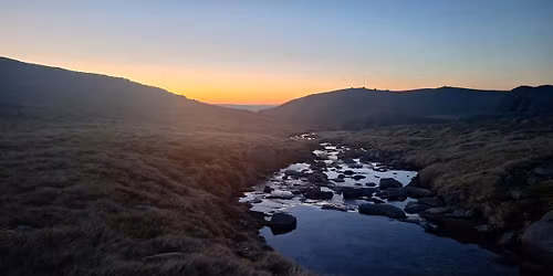 Wild Leadership (Cairngorms)