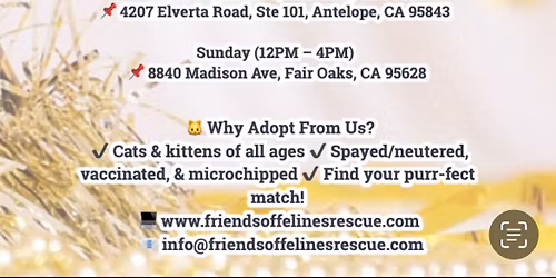 Cat Adoption Event