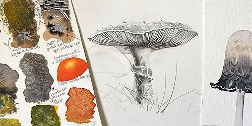 Fantastic Fungi: Techniques and Textures