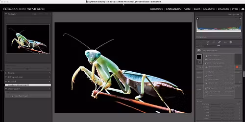 Einsteiger-Workshop Lightroom Classic