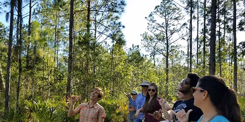 Florida Forests  Hike