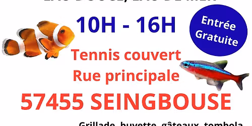 Bourse aux poissons - SEINGBOUSE