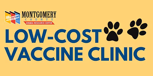 Low-cost Dog Vaccine Clinic