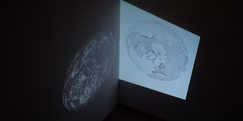 Unstable grounds | Discussions avec Ada Ackerman, Zohra Mrad, Nika Schmitt, Mona Young-eun Kim