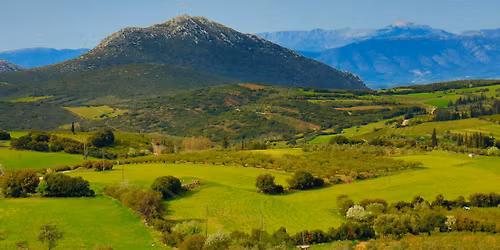 \u039c\u03a5\u039a\u0397\u039d\u0395\u03a3 \u2013 \u03a3\u03a4\u0395\u03a6\u0391\u039d\u0399 (\u039f\u03a1\u0395\u0399\u039d\u0397 \u039a\u039f\u03a1\u0399\u039d\u0398\u0399\u0391)