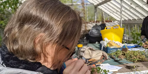 City & Guilds Practical Horticulture Qualification Open Day