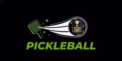Honolulu PickleBall Tournament 