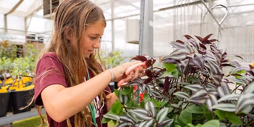 Garden Exploration Days