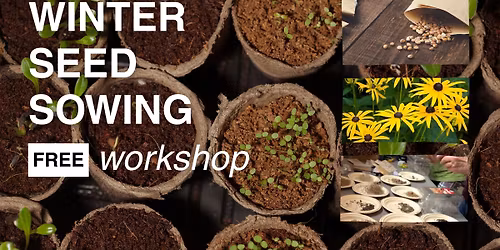 Winter Seed Sowing workshops