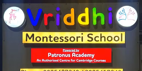 Vriddhi Little Explorers Summer camp 