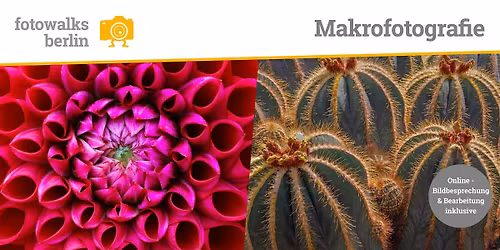 Fotokurs Berlin: Makrofotografie Indoor am 15.02.2026 + Bildbesprechung
