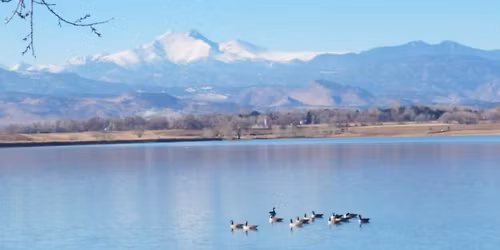 LUUP Solstice Circle, Supper, and Holiday Lights Outing