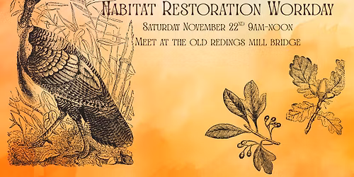Habitat Restoration Work Day 11\/22