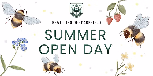 Rewilding Denmarkfield Summer Open Day 2026!