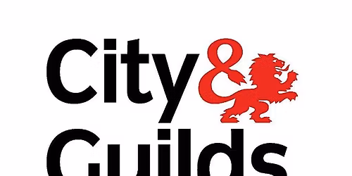 BSE Electrical & Plumbing Network Birmingham 2025