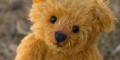 Teddy Bear Picnic Train Rides