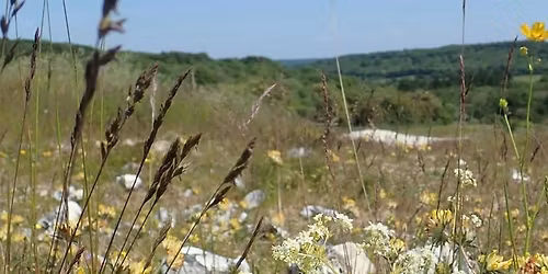 High Wycombe Nature Evening - Wycombe Arts Centre, Tuesday 18 November