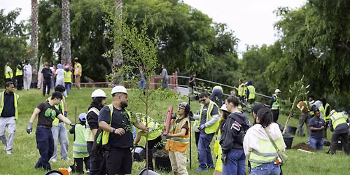 Fair Oaks & Neighbourhood Community Planting with Our City Forest