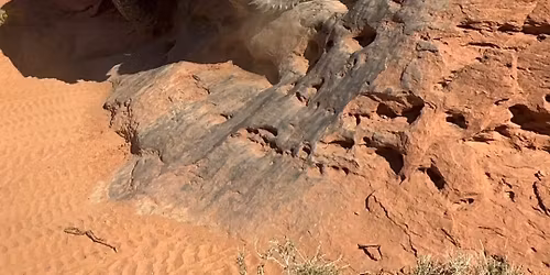 After Thanksgiving Guide Ride