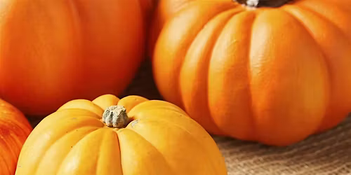 IKEA College park Halloween Spooktacular Bash