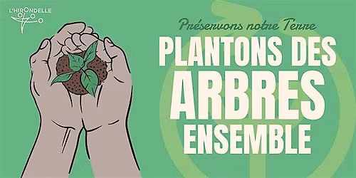 Plantation d'arbre