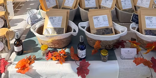 Tea time with Fee \ud83c\udf75 \ud83e\uded6 an informative workshop to learn about Naturally Holistic\u2019s organic teas!