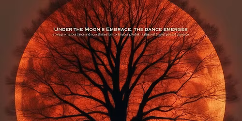 Under the Moon's Embrace, the dance emerges