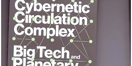 Technology and Development Seminar: The cybernetic circulation complex