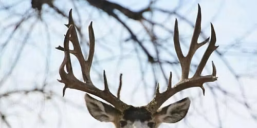 Lewis and Clark Chapter of the Mule Deer Foundation Annual Banquet