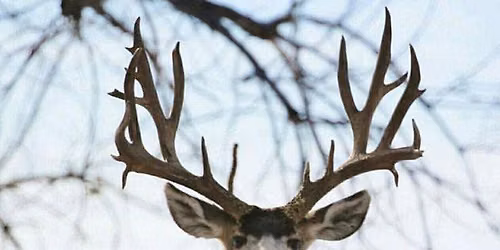 Lewis and Clark Chapter of the Mule Deer Foundation Annual Banquet