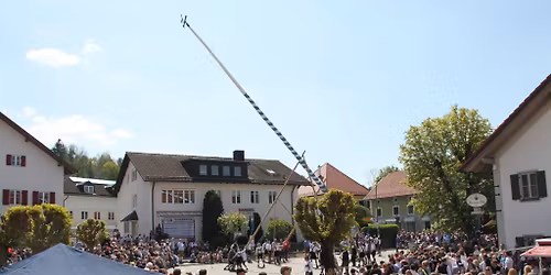 Maibaum Aufstellen Oberalting-Seefeld