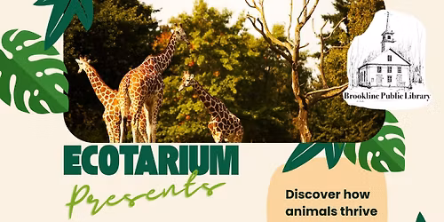 EcoTarium - Animal Adaptations*