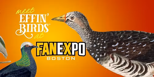 Effin\u2019 Birds at FAN EXPO Boston