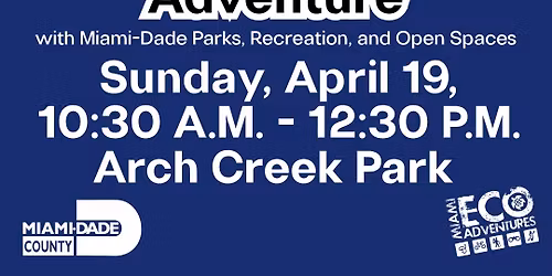 Archaeology Family Adventure