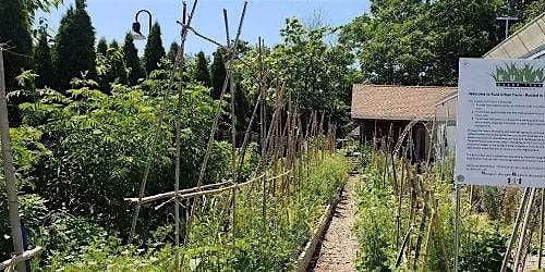 Neighbors, Nature, and Networking at Kula Urban Farm