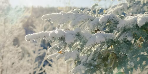 Winter Gear Maintenance