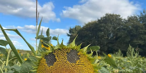 A Tour of Park Farm