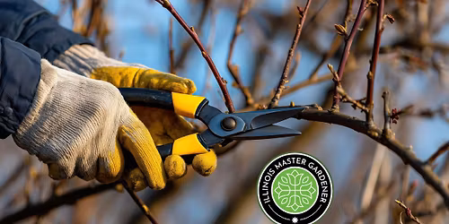 Pruning Dormant Trees for Success