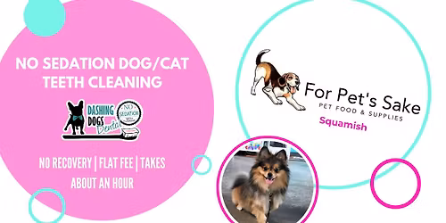 Pet Teeth Cleaning - Squamish