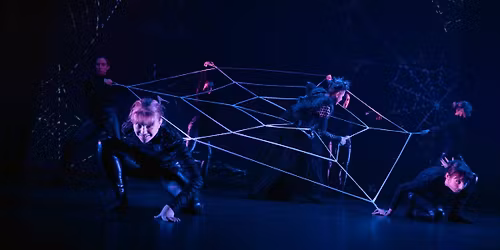 LOVEBUG (+ ExtraGive Junior!)