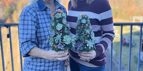 Living Succulent Christmas Tree