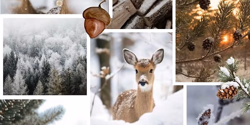 Frosted Forest Decorating Class