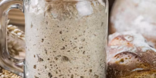 Workshop: Sourdough Starters