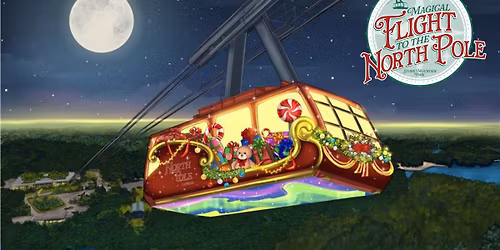 Magical Flight to the North Pole