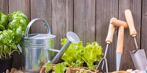 Gardening Discussion Group