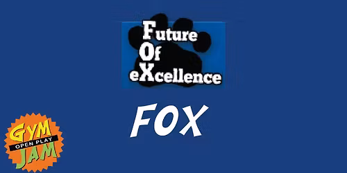Fox Elementary Gym Jam Fundraiser OPEN PLAY Sat 2-4 $20