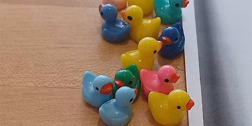 Rewire the Winter Mind: Changing Thought Patterns That Keep You Stuck