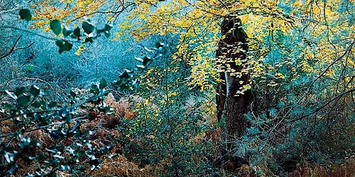 R\u00e9sidence photo, par Olivier Marchesi