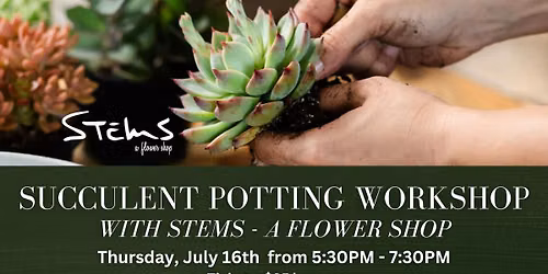Succulent Potting Workshop