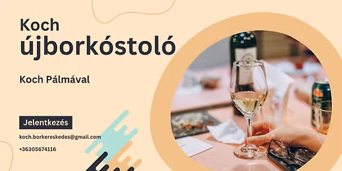 \u00dajbork\u00f3stol\u00f3 Koch P\u00e1lm\u00e1val